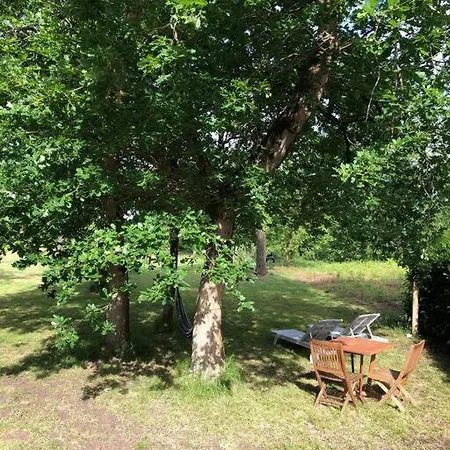 Charmante Roulotte Dans La Nature